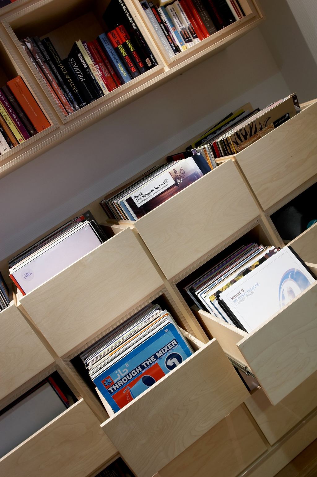 Bredere vakkenkast met opbergvakken voor lp's, met een boekenplank erboven.